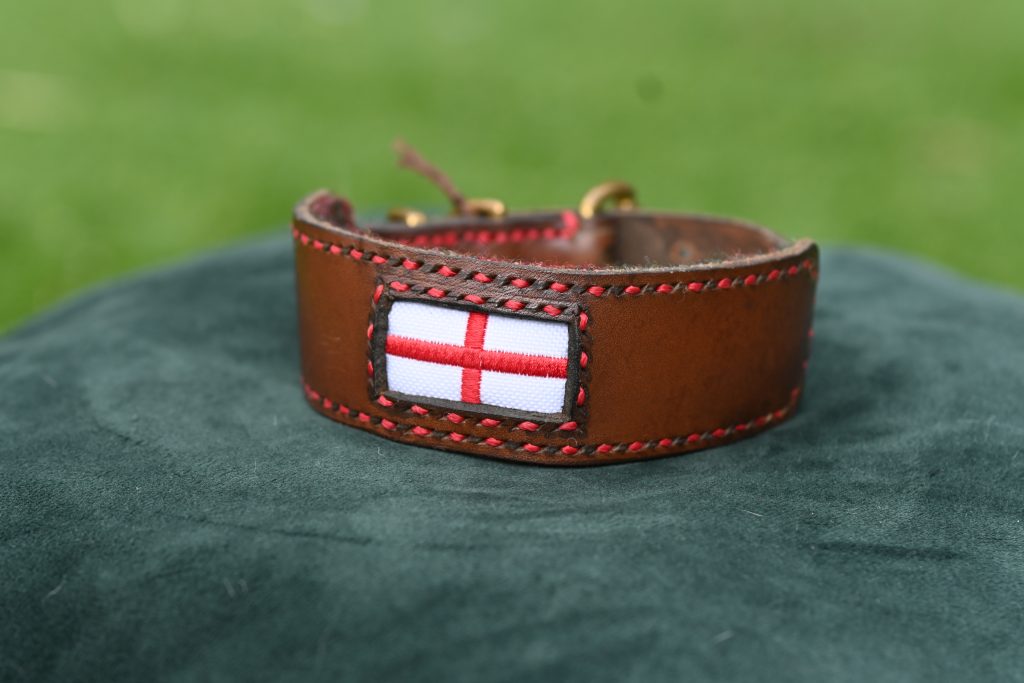 Leather Collar - 11" - 15.5"
