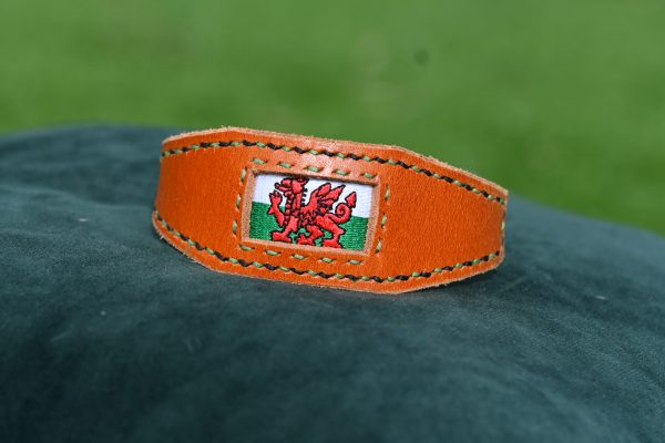 Leather Collar - 9.5" - 12"