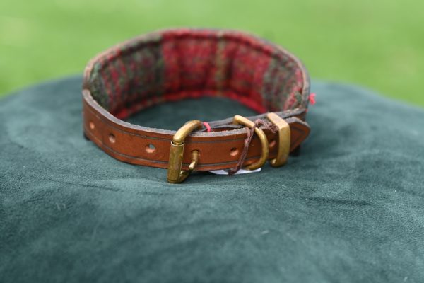 Leather Collar - 11" - 15.5" - Image 3