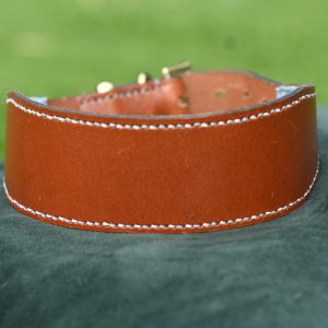 Leather Collar - 16.5" - 20"