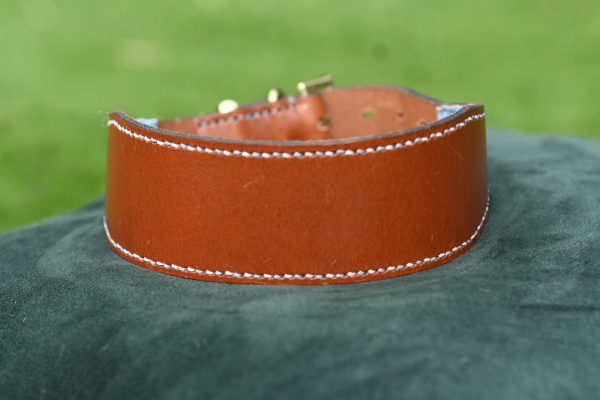 Leather Collar - 16.5" - 20"