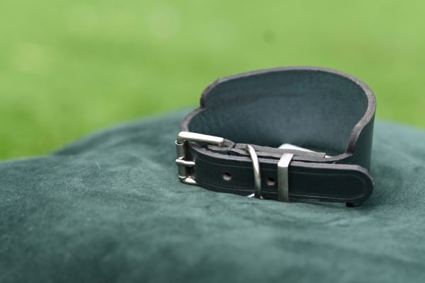 Leather Collar -9" - 11.5" - Image 3