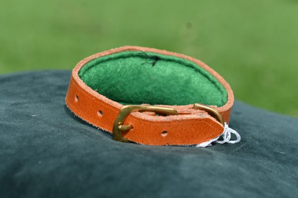 Leather Collar - 9.5" - 12" - Image 2