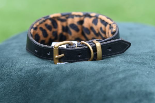 Leather Collar - 11" -15" - Image 3