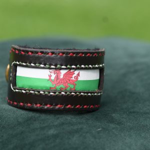 Leather Collar - 9" -11.5"