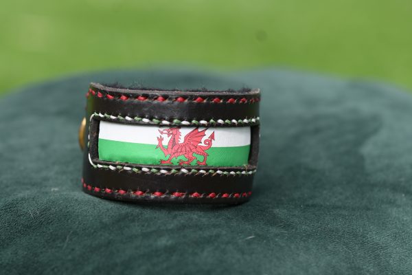 Leather Collar - 9" -11.5"
