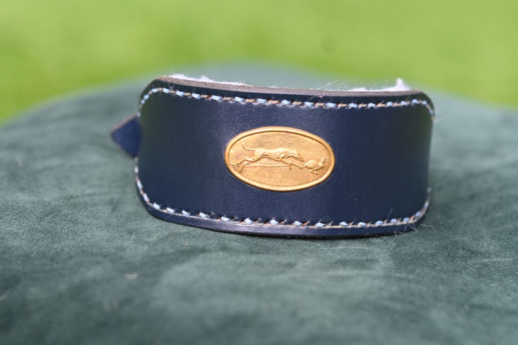 Leather Collar - 10" - 12.5"