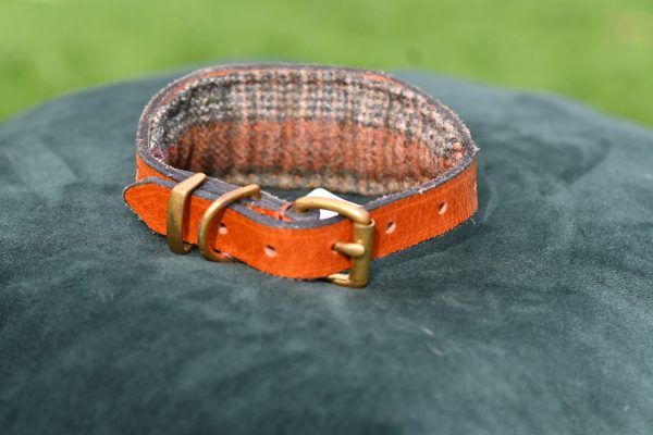 Leather Collar - 9" - 13.5" - Image 3