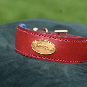 Leather Collar - 11" - 14"