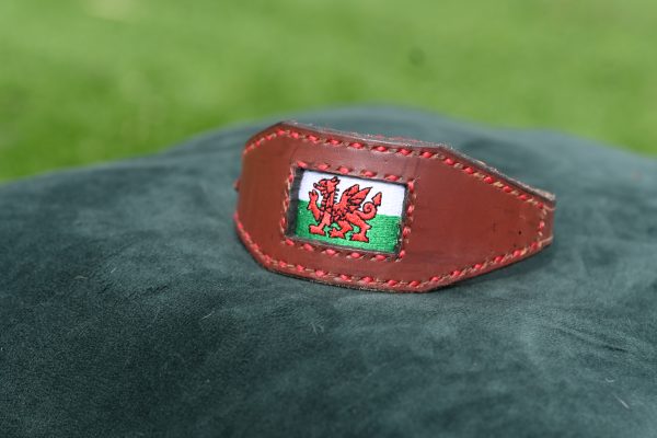 Leather Collar - 9.5" - 13"