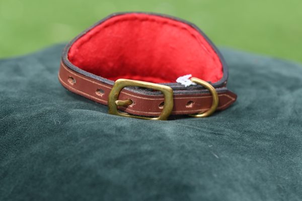 Leather Collar - 9.5" - 13" - Image 3