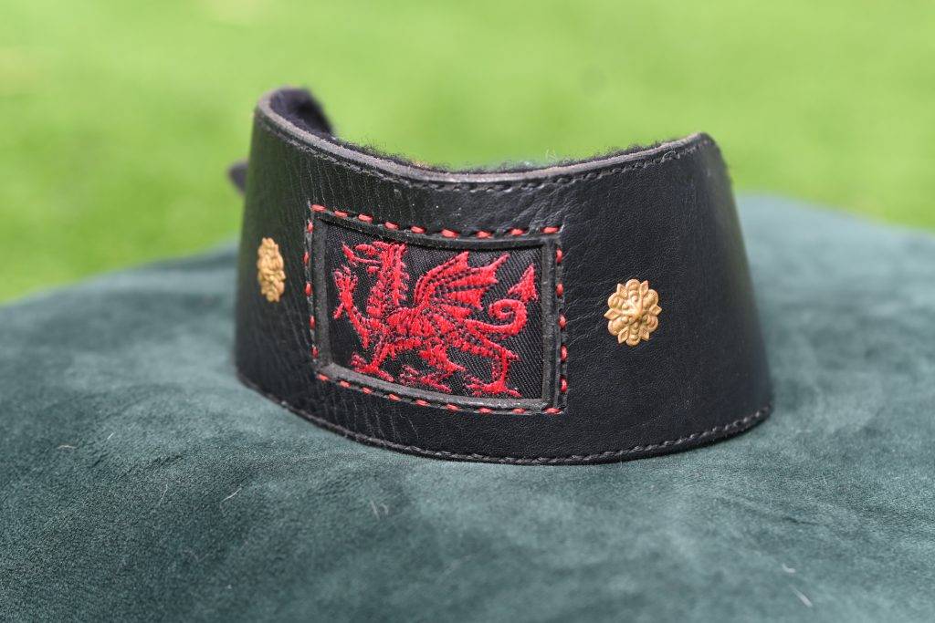 Leather Collar - Size 15" - 19"