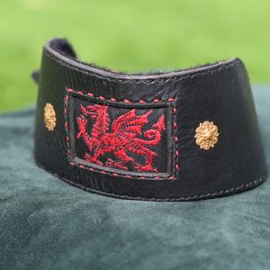 Leather Collar - Size 15" - 19"