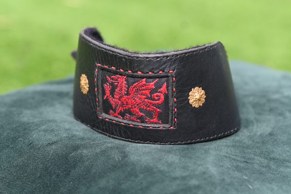 Leather Collar - Size 15" - 19"