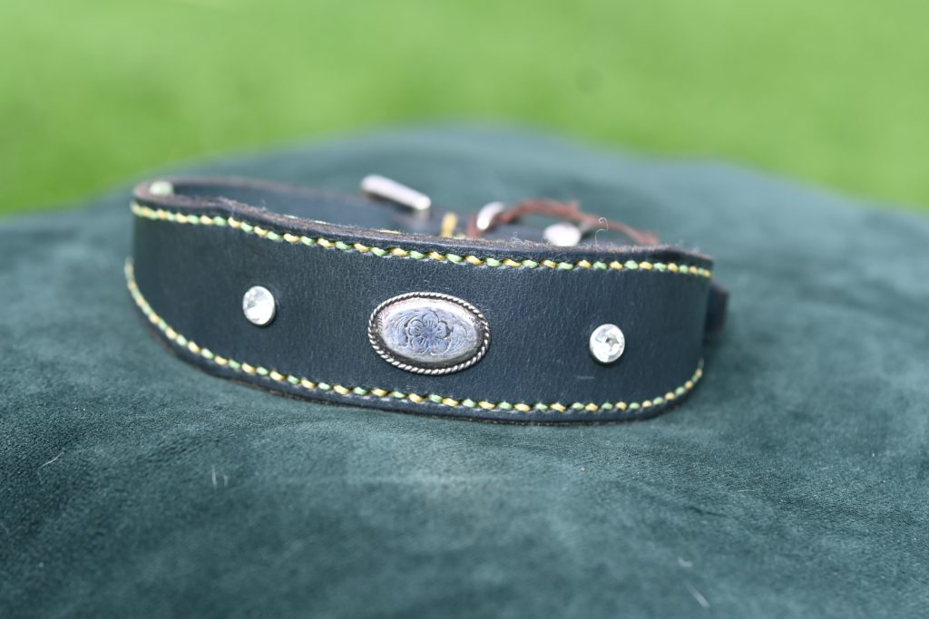 Leather Collar - Size 11.5" - 15"