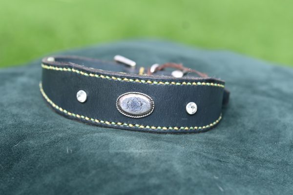 Leather Collar - Size 11.5" - 15"