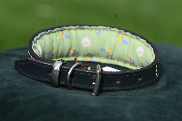 Leather Collar - Size 11.5" - 15" - Image 3
