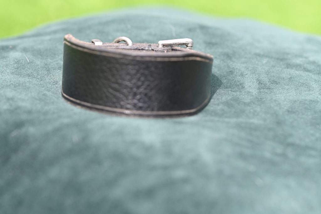 Leather Collar - 9.5" - 11"