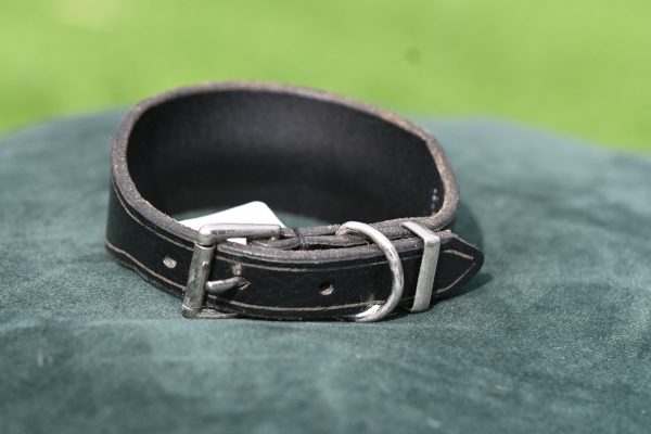 Leather Collar - 9.5" - 11" - Image 3