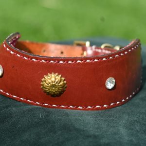Leather Collar - 14" - 18"