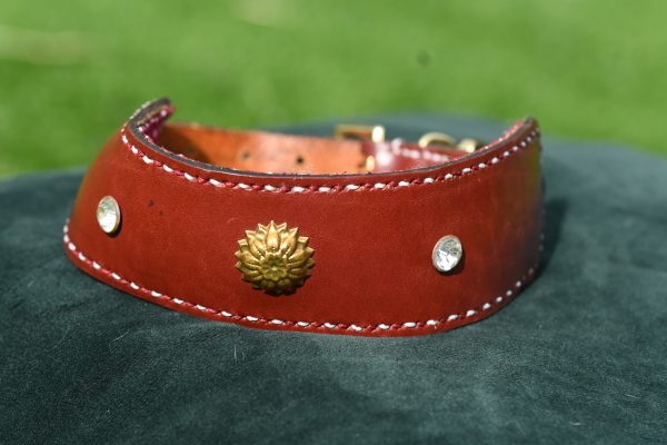 Leather Collar - 14" - 18"