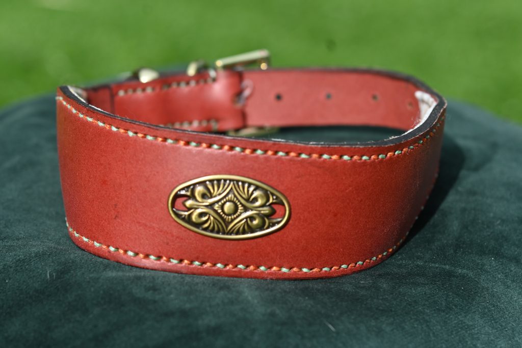 Leather Collar - 16.5" -21"
