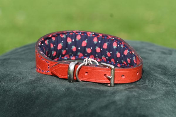 Leather Collar - 13" - 16.5" - Image 2