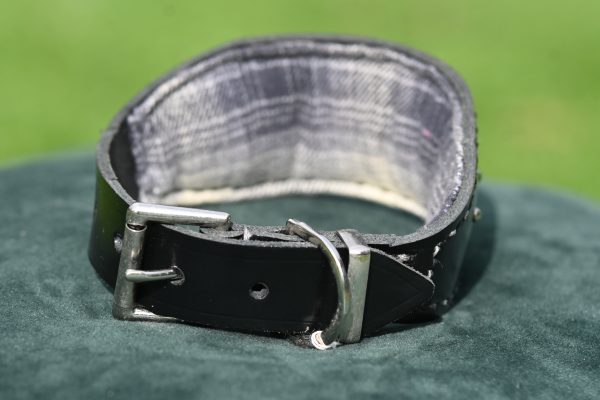 Leather Collar - Size 10.5" - 14" - Image 3