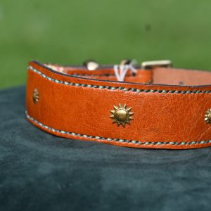 Leather Collar - Size 14.5" - 18"