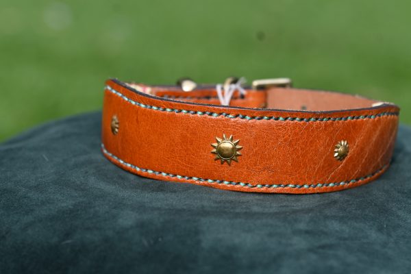 Leather Collar - Size 14.5" - 18"